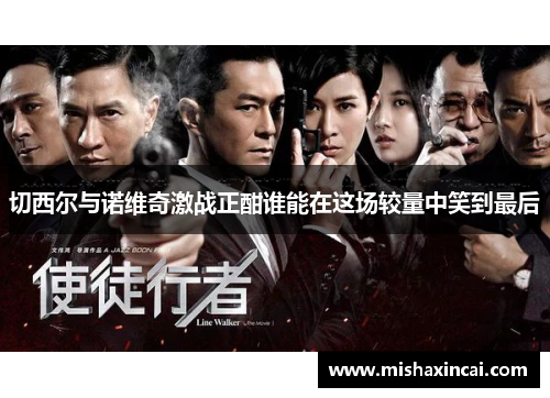 切西尔与诺维奇激战正酣谁能在这场较量中笑到最后