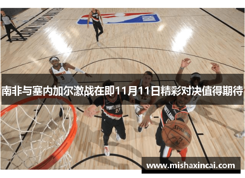 南非与塞内加尔激战在即11月11日精彩对决值得期待