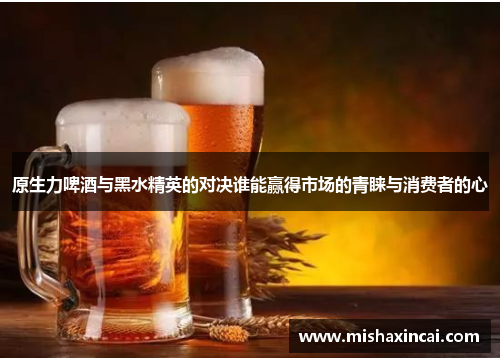 原生力啤酒与黑水精英的对决谁能赢得市场的青睐与消费者的心