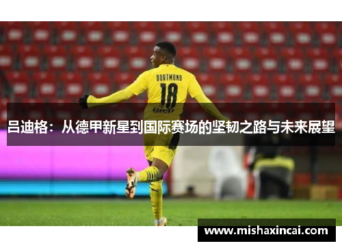 吕迪格：从德甲新星到国际赛场的坚韧之路与未来展望