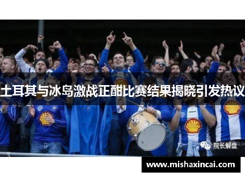 土耳其与冰岛激战正酣比赛结果揭晓引发热议