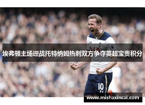 埃弗顿主场迎战托特纳姆热刺双方争夺英超宝贵积分