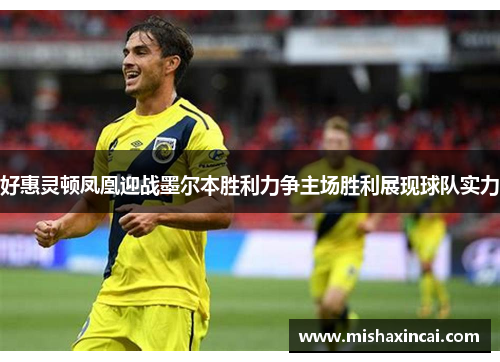 好惠灵顿凤凰迎战墨尔本胜利力争主场胜利展现球队实力