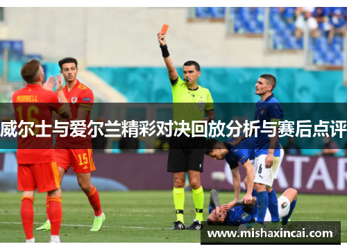 威尔士与爱尔兰精彩对决回放分析与赛后点评