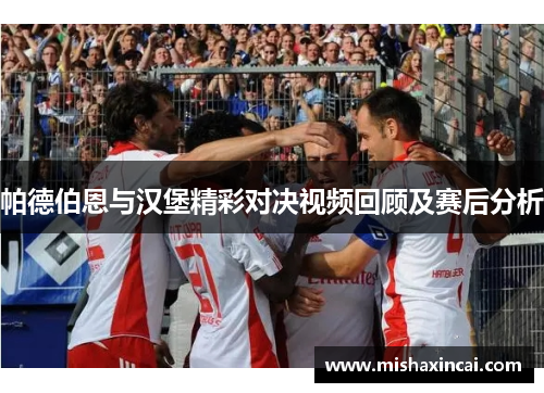 帕德伯恩与汉堡精彩对决视频回顾及赛后分析
