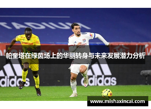 帕奎塔在绿茵场上的华丽转身与未来发展潜力分析