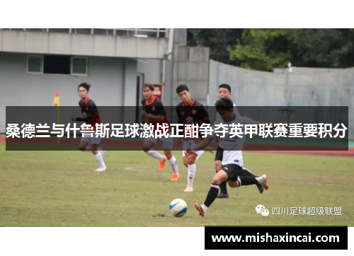 桑德兰与什鲁斯足球激战正酣争夺英甲联赛重要积分