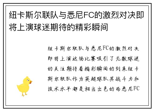 纽卡斯尔联队与悉尼FC的激烈对决即将上演球迷期待的精彩瞬间